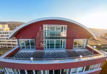 482455-Vorschaubild4