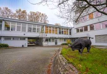 482456-Vorschaubild2