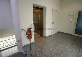 482456-Vorschaubild4