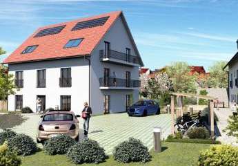 482458-Vorschaubild2