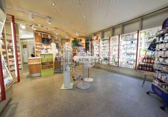 482459-Vorschaubild2