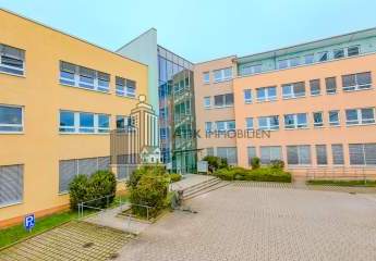 482735-Vorschaubild4