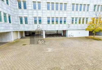 482751-Vorschaubild3