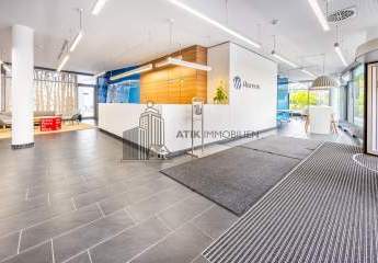 482759-Vorschaubild3