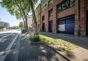 482769-Vorschaubild2