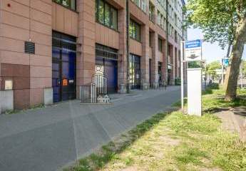 482769-Vorschaubild3