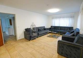 482779-Vorschaubild3