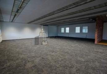 482794-Vorschaubild4