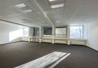 482802-Vorschaubild2