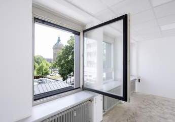 482803-Vorschaubild3