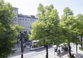 482803-Vorschaubild4
