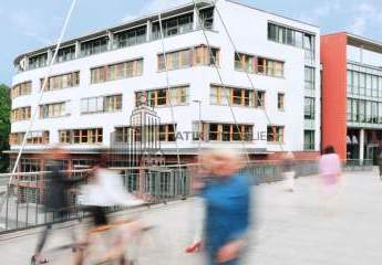 482809-Vorschaubild2