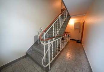 482810-Vorschaubild2