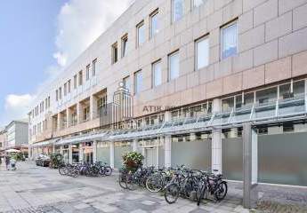 482815-Vorschaubild2