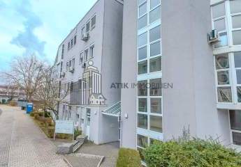 482817-Vorschaubild3