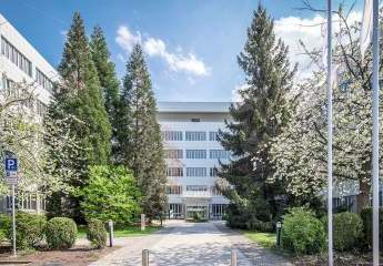 482906-Vorschaubild2