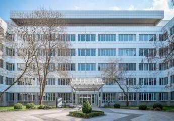 482906-Vorschaubild3