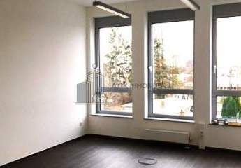 482908-Vorschaubild3