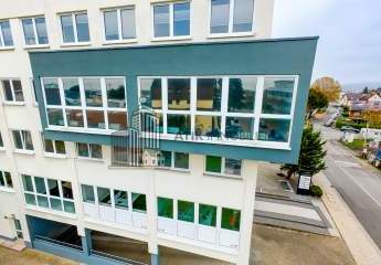 482928-Vorschaubild3