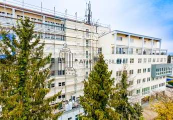 482929-Vorschaubild3