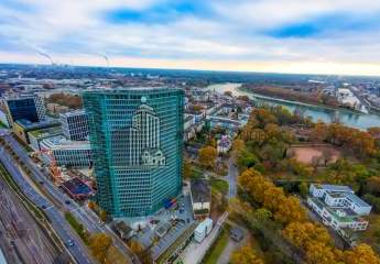 482930-Vorschaubild3