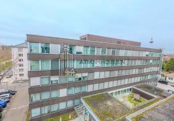 482931-Vorschaubild2