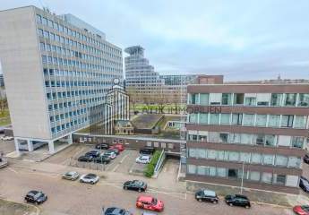 482931-Vorschaubild3