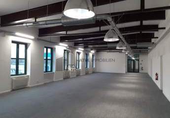 482937-Vorschaubild2