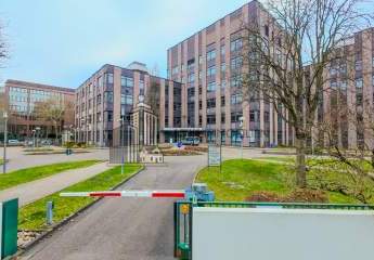 482945-Vorschaubild2