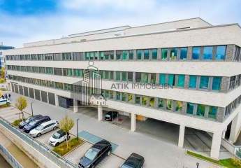 482947-Vorschaubild4