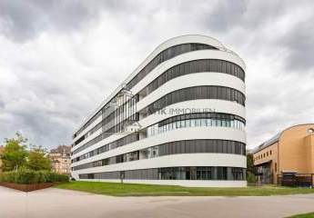 482948-Vorschaubild2