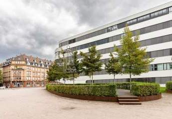 482948-Vorschaubild4