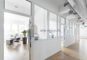 482949-Vorschaubild3