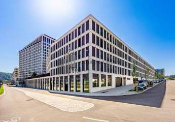 482955-Vorschaubild2