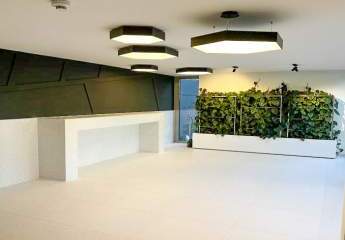 482960-Vorschaubild2