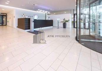 482961-Vorschaubild2