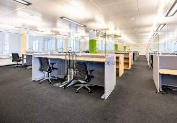 482961-Vorschaubild3