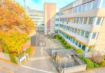 482962-Vorschaubild2