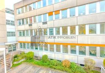 482962-Vorschaubild3