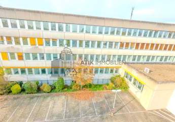 482962-Vorschaubild4