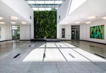 482963-Vorschaubild4