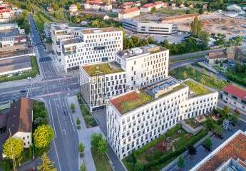 483022-Vorschaubild2