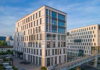 483022-Vorschaubild3