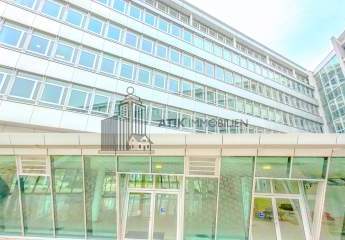 483030-Vorschaubild2