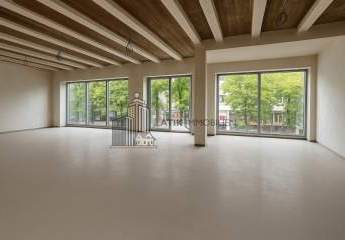 483039-Vorschaubild3