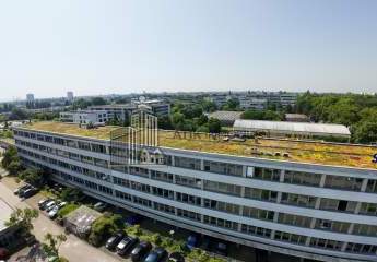 483604-Vorschaubild4