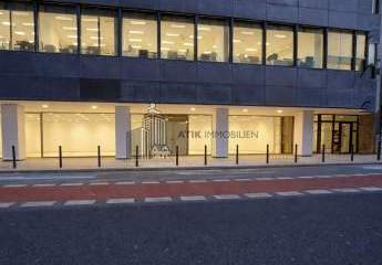 485618-Vorschaubild2