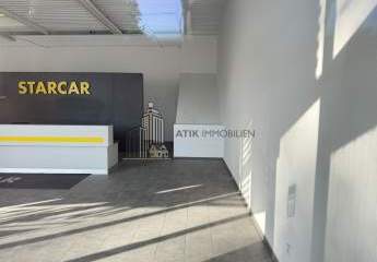 486184-Vorschaubild2