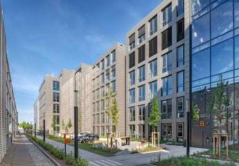 486493-Vorschaubild4