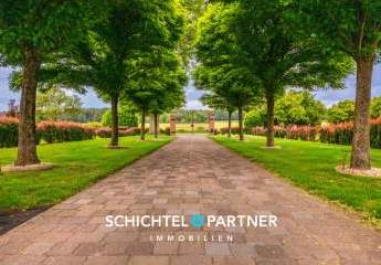 482221-Vorschaubild4